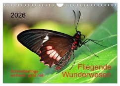 Fliegende Wunderwesen. Schmetterlinge weltweit, ganz nah (Wandkalender 2026 DIN A4 quer), CALVENDO Monatskalender Cover Fliegende Wunderwesen. Schmetterlinge weltweit, ganz nah (Wandkalender 2026 DIN A4 quer), CALVENDO Monatskalender