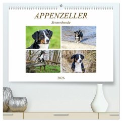 Appenzeller Sennenhunde (hochwertiger Premium Wandkalender 2026 DIN A2 quer), Kunstdruck in Hochglanz