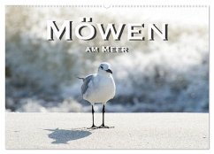 Möwen am Meer (Wandkalender 2026 DIN A2 quer), CALVENDO Monatskalender