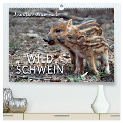 Unverwechselbar - Wildschwein (hochwertiger Premium Wandkalender 2026 DIN A2 quer), Kunstdruck in Hochglanz Unverwechselbar - Wildschwein (hochwertiger Premium Wandkalender 2026 DIN A2 quer), Kunstdruck in Hochglanz