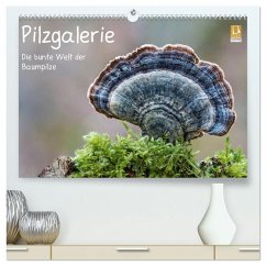 Pilzgalerie - Die bunte Welt der Baumpilze (hochwertiger Premium Wandkalender 2026 DIN A2 quer), Kunstdruck in Hochglanz Pilzgalerie - Die bunte Welt der Baumpilze (hochwertiger Premium Wandkalender 2026 DIN A2 quer), Kunstdruck in Hochglanz