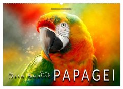 Cover Mein bunter Papagei (Wandkalender 2026 DIN A2 quer), CALVENDO Monatskalender