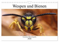 Faszination Makrofotografie: Wespen und Bienen (Wandkalender 2026 DIN A4 quer), CALVENDO Monatskalender Faszination Makrofotografie: Wespen und Bienen (Wandkalender 2026 DIN A4 quer), CALVENDO Monatskalender