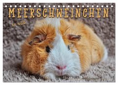 Meerschweinchen - so süß (Tischkalender 2026 DIN A5 quer), CALVENDO Monatskalender Meerschweinchen - so süß (Tischkalender 2026 DIN A5 quer), CALVENDO Monatskalender