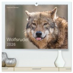 Cover Wolfsrudel (hochwertiger Premium Wandkalender 2026 DIN A2 quer), Kunstdruck in Hochglanz