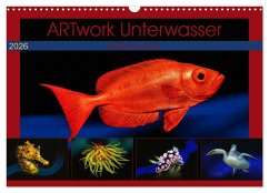 Cover Artwork Unterwasser - Erlebnis Tauchen (Wandkalender 2026 DIN A3 quer), CALVENDO Monatskalender