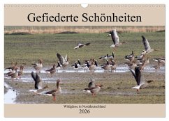 Gefiederte Schönheiten - Wildgänse in Norddeutschland (Wandkalender 2026 DIN A3 quer), CALVENDO Monatskalender Gefiederte Schönheiten - Wildgänse in Norddeutschland (Wandkalender 2026 DIN A3 quer), CALVENDO Monatskalender