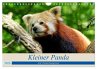 Kleiner Panda auf Entdeckungstour... - Bild 1