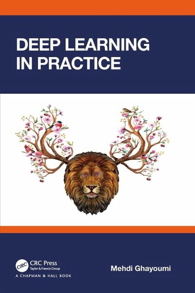 Deep Learning in Practice