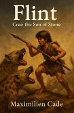Flint (eBook, ePUB)