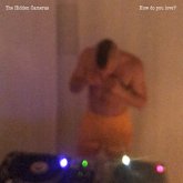 How Do You Love? (Feat. Pet Shop Boys) How Do You Love? (Feat. Pet Shop Boys)