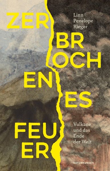 Zerbrochenes Feuer (eBook, ePUB)