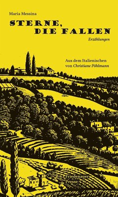 Cover Sterne, die fallen (eBook, ePUB)