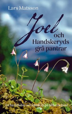 Cover Joel och Handskeryds grå pantrar (eBook, ePUB)