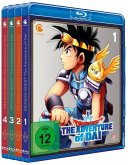 Dragon Quest: The Adventure of Dai - Staffel 1 - Bundle - Vol.1-4