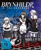 Brynhildr In Darkness Ga 1.0