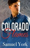 Colorado Flames (Colorado Protectors, #3) (eBook, ePUB) Colorado Flames (Colorado Protectors, #3) (eBook, ePUB)