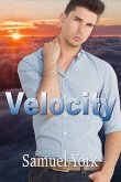 Velocity (eBook, ePUB) Velocity (eBook, ePUB)