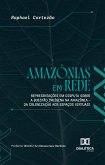 Amazônias em Rede (eBook, ePUB)