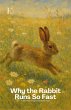Why the Rabbit Runs So Fast And Other... - Bild 1