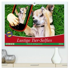 Cover Lustige Tier-Selfies. Tierische Selbstportraits (hochwertiger Premium Wandkalender 2026 DIN A2 quer), Kunstdruck in Hochglanz