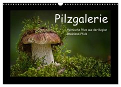 Pilzgalerie - Heimische Pilze aus der Region Rheinland-Pfalz (Wandkalender 2026 DIN A3 quer), CALVENDO Monatskalender Pilzgalerie - Heimische Pilze aus der Region Rheinland-Pfalz (Wandkalender 2026 DIN A3 quer), CALVENDO Monatskalender