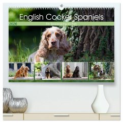 Cover English Cocker Spaniels - Ein Spaziergang im Park (hochwertiger Premium Wandkalender 2026 DIN A2 quer), Kunstdruck in Hochglanz