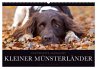 Faszination Jagdhund - Kleiner... - Bild 1