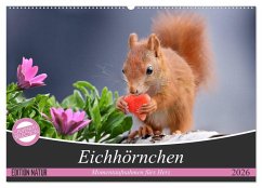 Cover Eichhörnchen Momentaufnahmen fürs Herz (Wandkalender 2026 DIN A2 quer), CALVENDO Monatskalender