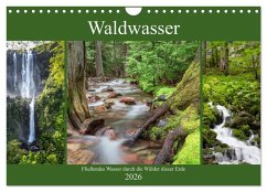Waldwasser (Wandkalender 2026 DIN A4 quer), CALVENDO Monatskalender