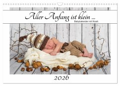 Cover Aller Anfang ist klein - Babykalender mit Noah (Wandkalender 2026 DIN A3 quer), CALVENDO Monatskalender