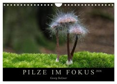 PILZE IM FOKUS 2026 (Wandkalender 2026 DIN A4 quer), CALVENDO Monatskalender Cover PILZE IM FOKUS 2026 (Wandkalender 2026 DIN A4 quer), CALVENDO Monatskalender