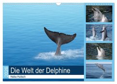 Cover Die Welt der Delphine (Wandkalender 2026 DIN A3 quer), CALVENDO Monatskalender