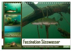 Cover Faszination Süsswasser (Wandkalender 2026 DIN A4 quer), CALVENDO Monatskalender