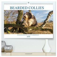 Cover BEARDED COLLIES 2026 (hochwertiger Premium Wandkalender 2026 DIN A2 quer), Kunstdruck in Hochglanz