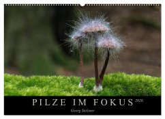 PILZE IM FOKUS 2026 (Wandkalender 2026 DIN A2 quer), CALVENDO Monatskalender Cover PILZE IM FOKUS 2026 (Wandkalender 2026 DIN A2 quer), CALVENDO Monatskalender