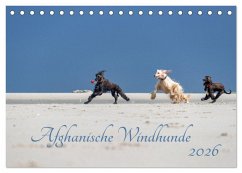 AFGHANISCHE WINDHUNDE 2026 (Tischkalender 2026 DIN A5 quer), CALVENDO Monatskalender