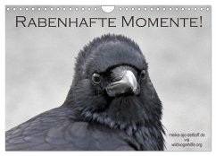 Rabenhafte Momente! (Wandkalender 2026 DIN A4 quer), CALVENDO Monatskalender
