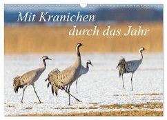 Mit Kranichen durch das Jahr (Wandkalender 2026 DIN A3 quer), CALVENDO Monatskalender Mit Kranichen durch das Jahr (Wandkalender 2026 DIN A3 quer), CALVENDO Monatskalender