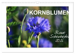 Kornblumen - Blaue Schönheiten (Wandkalender 2026 DIN A3 quer), CALVENDO Monatskalender
