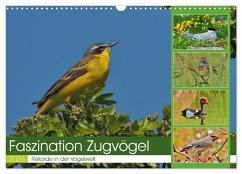 Cover Faszination Zugvögel - Rekorde in der Vogelwelt (Wandkalender 2026 DIN A3 quer), CALVENDO Monatskalender