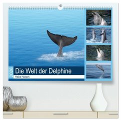 Cover Die Welt der Delphine (hochwertiger Premium Wandkalender 2026 DIN A2 quer), Kunstdruck in Hochglanz
