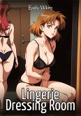 Lingerie Dressing Room Lingerie Dressing Room