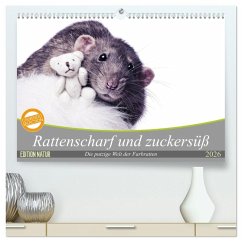 Rattenscharf und zuckersüß (hochwertiger Premium Wandkalender 2026 DIN A2 quer), Kunstdruck in Hochglanz Rattenscharf und zuckersüß (hochwertiger Premium Wandkalender 2026 DIN A2 quer), Kunstdruck in Hochglanz