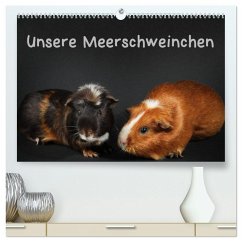 Unsere Meerschweinchen (hochwertiger Premium Wandkalender 2026 DIN A2 quer), Kunstdruck in Hochglanz