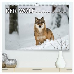 DER WOLF - faszinierend und gefährlich (hochwertiger Premium Wandkalender 2026 DIN A2 quer), Kunstdruck in Hochglanz