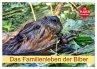 Das Familienleben der Biber... - Bild 1