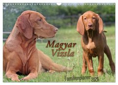 Cover Familienplaner - Magyar Vizsla (Wandkalender 2026 DIN A3 quer), CALVENDO Monatskalender