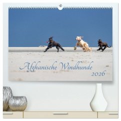 AFGHANISCHE WINDHUNDE 2026 (hochwertiger Premium Wandkalender 2026 DIN A2 quer), Kunstdruck in Hochglanz