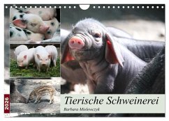 Cover Tierische Schweinerei (Wandkalender 2026 DIN A4 quer), CALVENDO Monatskalender